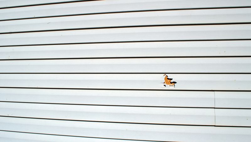 Summer Siding Upkeep